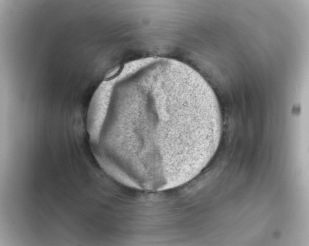 X0000103161058200809192048