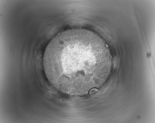X0000103161059200809192048