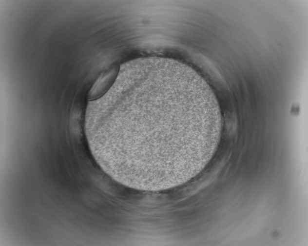 X0000103161060200809192048