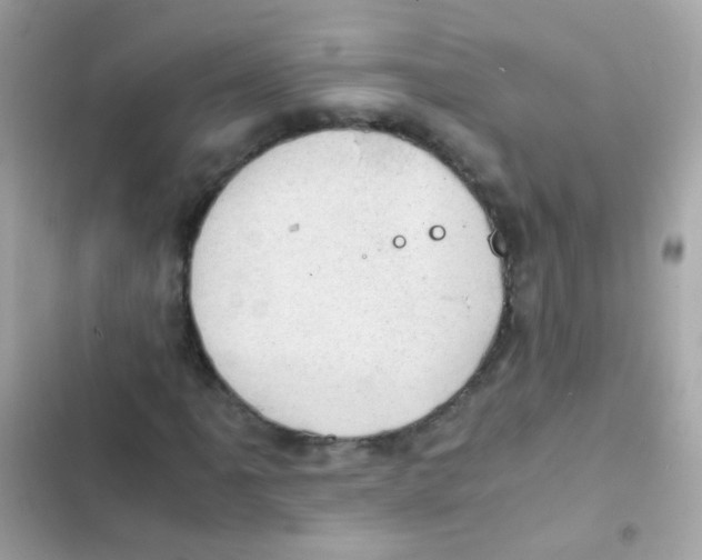 X0000103161061200809192048