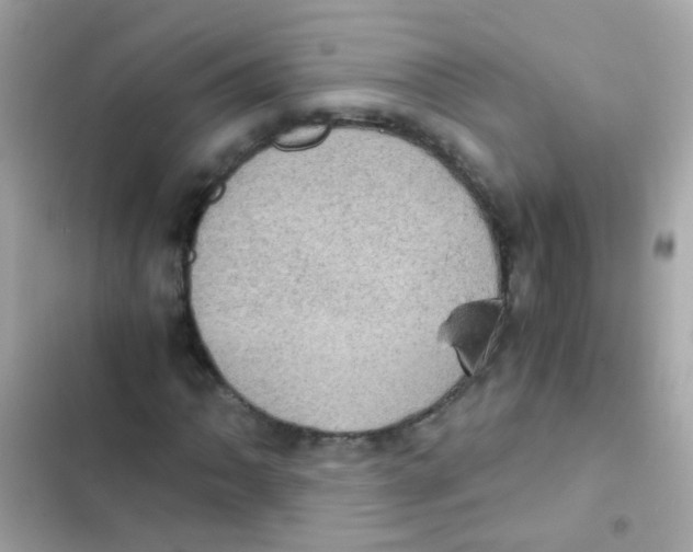 X0000103161062200809192048