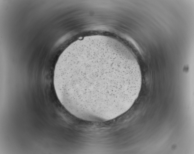 X0000103161064200809192048