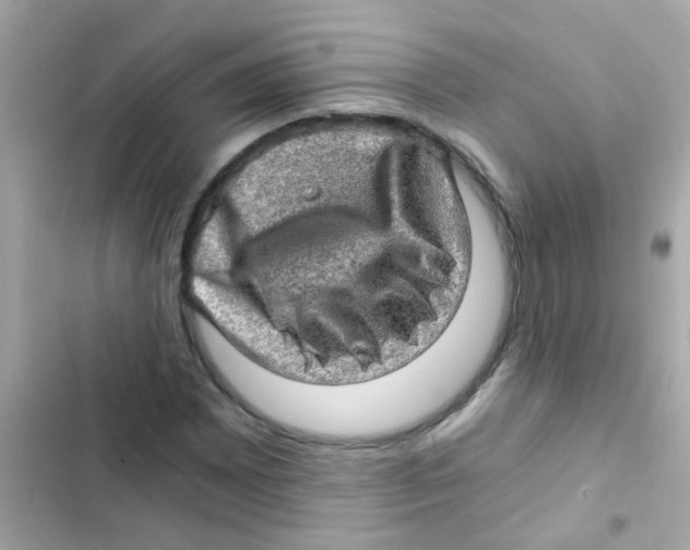X0000103161065200809192048
