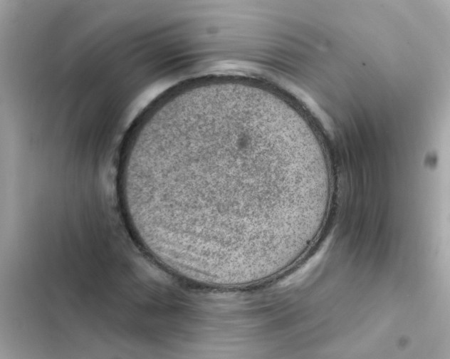 X0000103161066200809192048