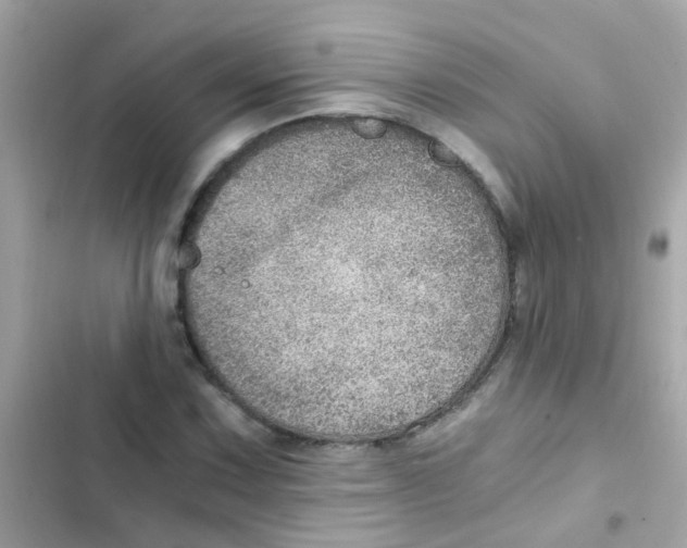 X0000103161067200809192048