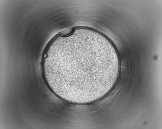 X0000103161068200809192048