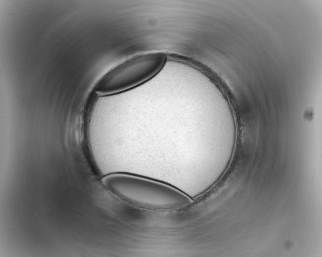 X0000103161069200809192048