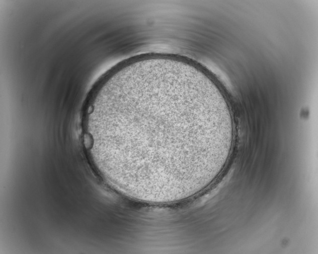 X0000103161070200809192048