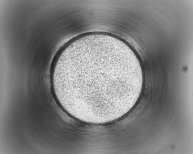 X0000103161072200809192048