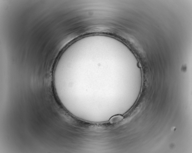 X0000103161073200809192048