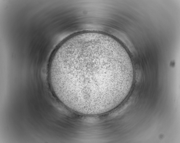 X0000103161074200809192048