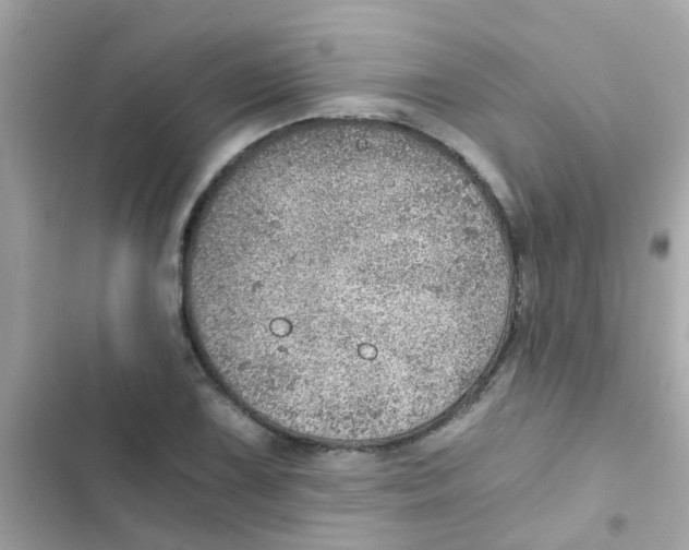 X0000103161075200809192048