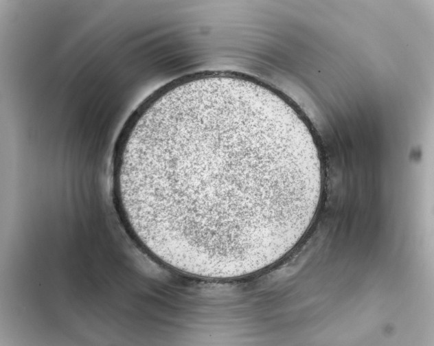 X0000103161076200809192048
