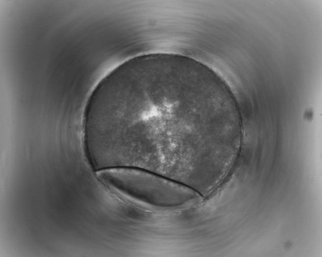 X0000103161077200809192048