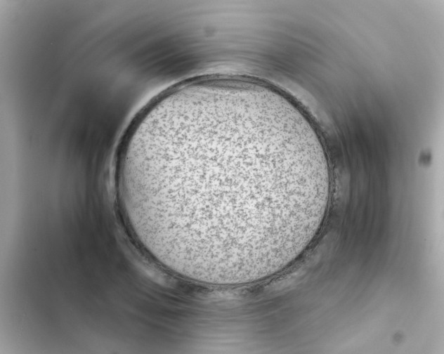 X0000103161078200809192048