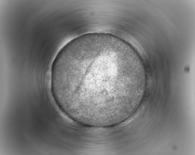 X0000103161079200809192048