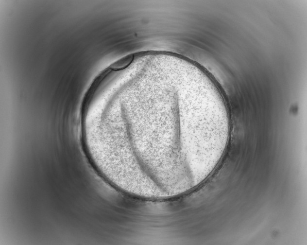 X0000103161080200809192048