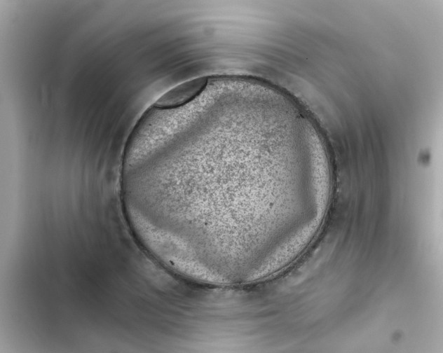X0000103161081200809192048