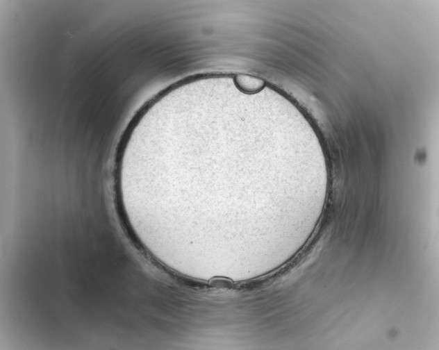 X0000103161085200809192048