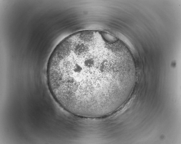 X0000103161087200809192048