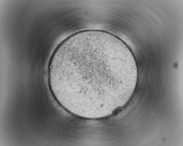 X0000103161088200809192048