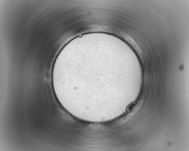 X0000103161089200809192048