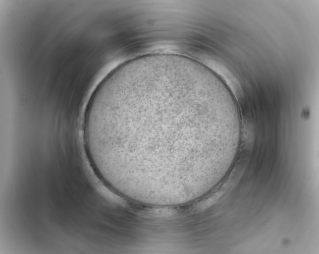 X0000103161090200809192048