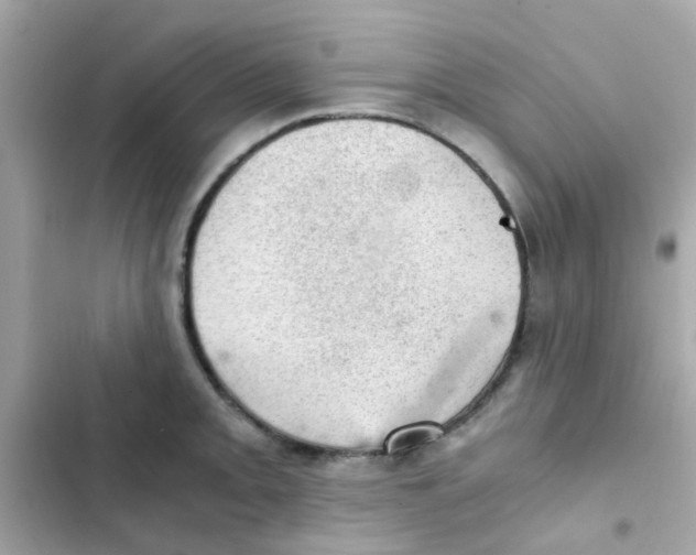 X0000103161093200809192048