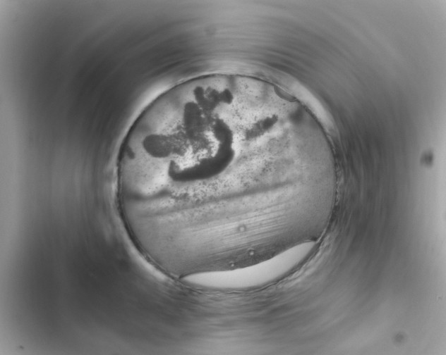X0000103161095200809192048