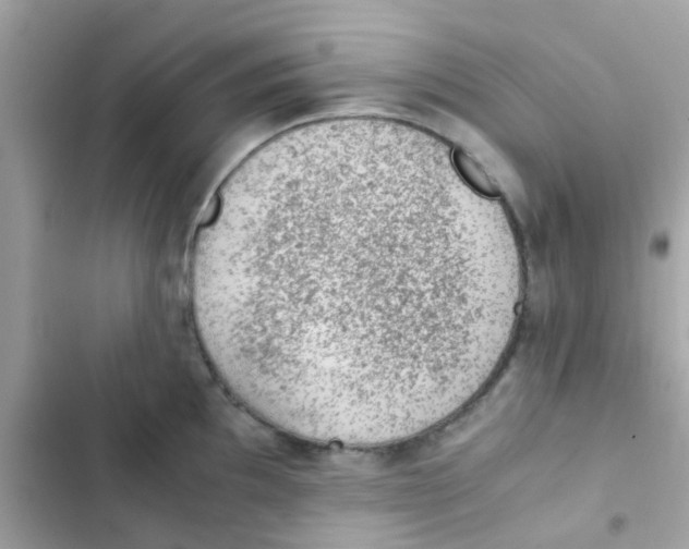 X0000103161097200809192047