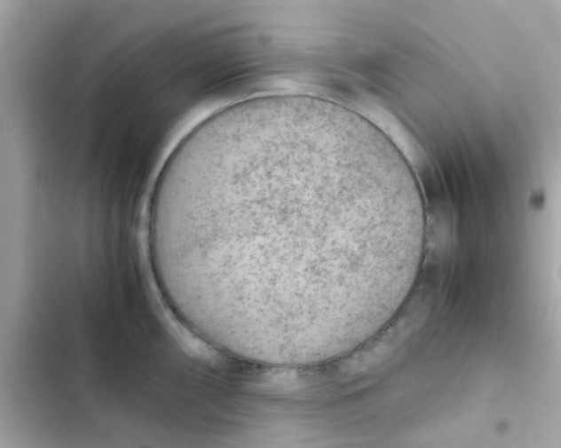 X0000103161098200809192047