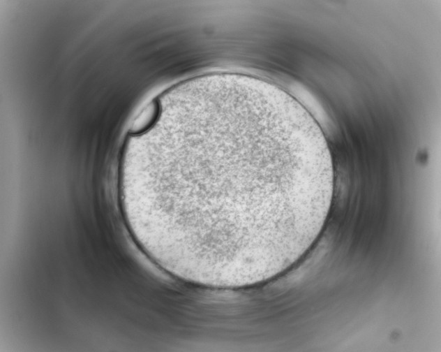 X0000103161100200809192047