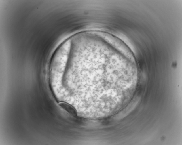 X0000103161101200809192047