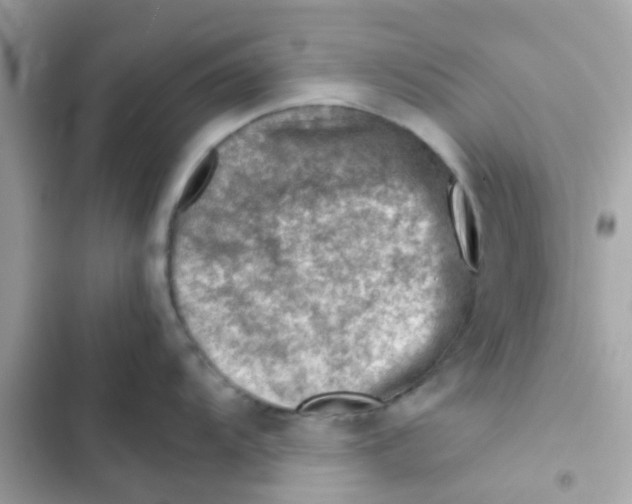 X0000103161104200809192047