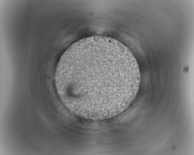 X0000103161105200809192047