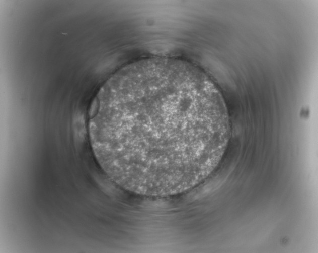 X0000103161106200809192047