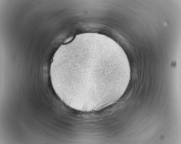X0000103161108200809192047