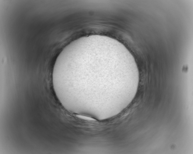 X0000103161109200809192047