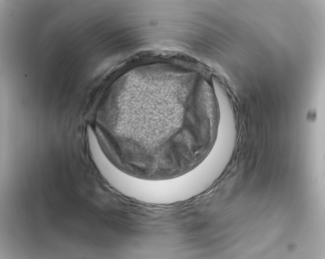 X0000103161110200809192047