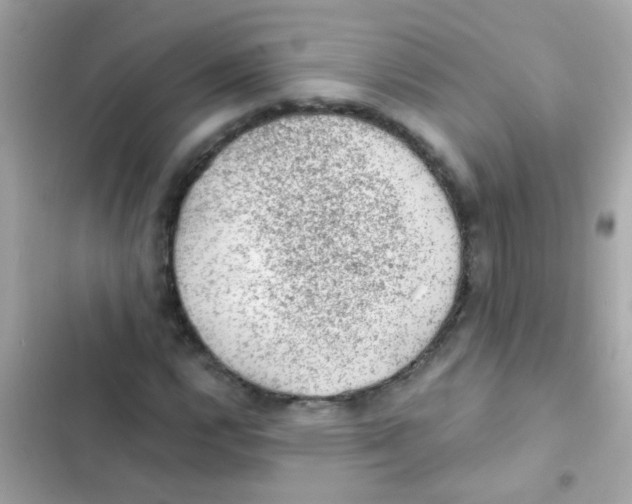 X0000103161112200809192047