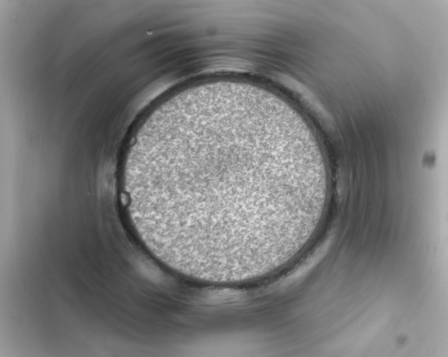 X0000103161113200809192047
