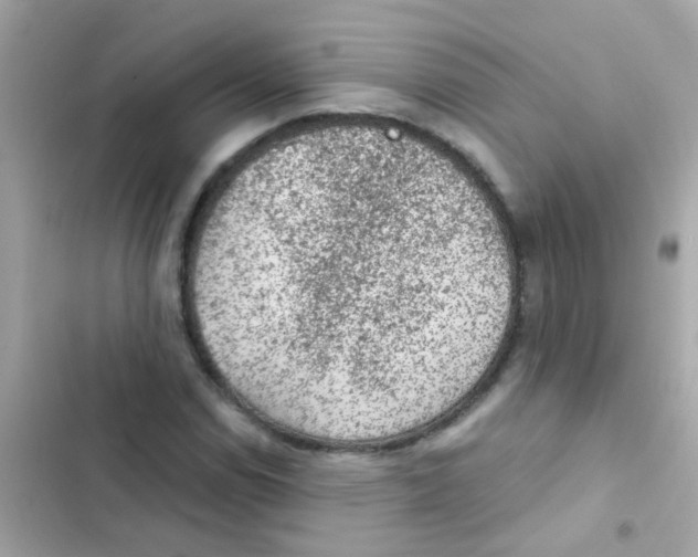 X0000103161114200809192047