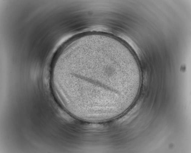 X0000103161115200809192047