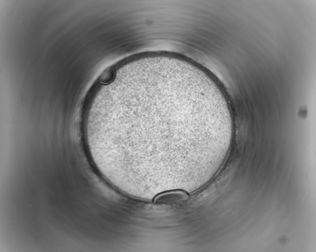 X0000103161116200809192047
