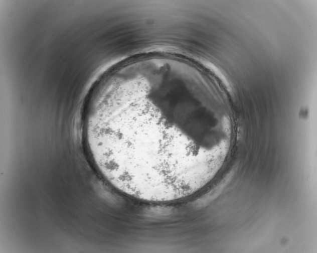 X0000103161117200809192047