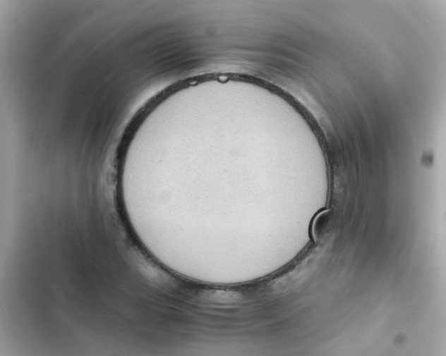 X0000103161119200809192047