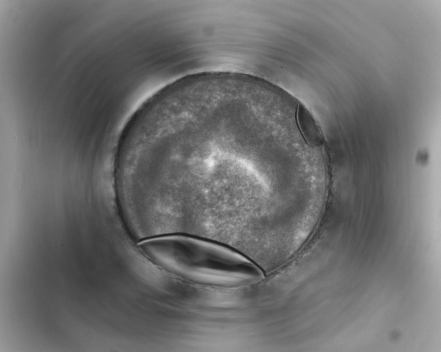 X0000103161120200809192047