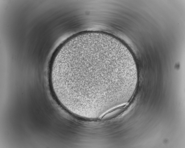 X0000103161122200809192047