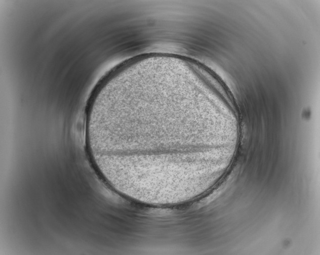 X0000103161123200809192047