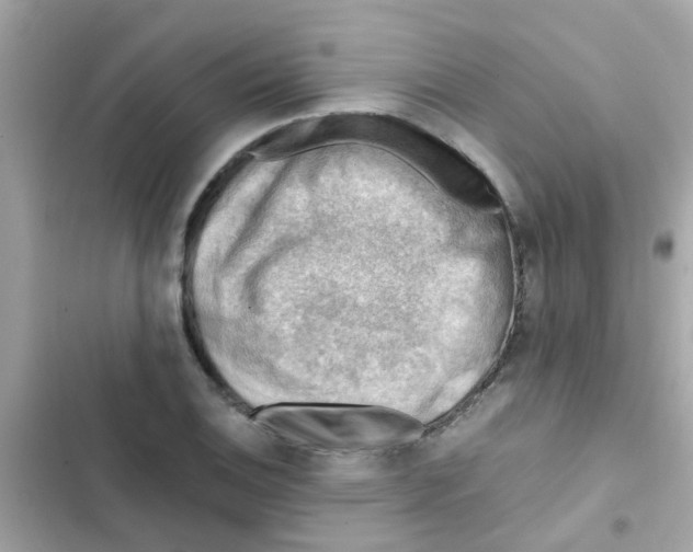 X0000103161124200809192047